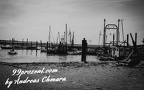 DSC 0111