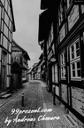 DSC 0110